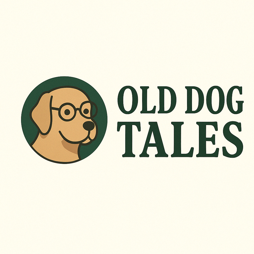 Logo Icon